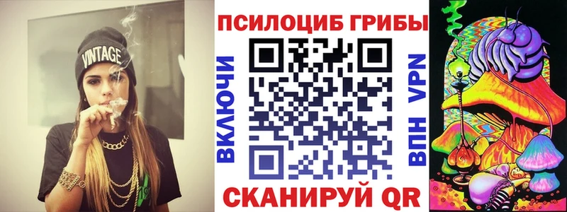 нарко площадка как зайти  Теберда  Галлюциногенные грибы MAGIC MUSHROOMS  купить закладку 